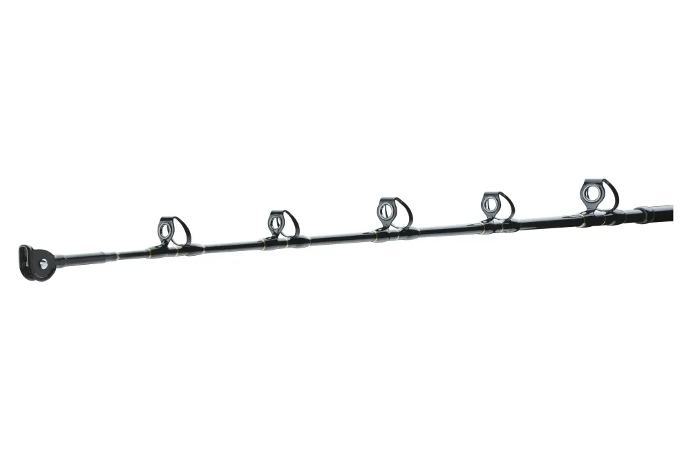 Outlet BG Big Game 1,68m 30-50lb Reise-Ruten|Spinn-Ruten