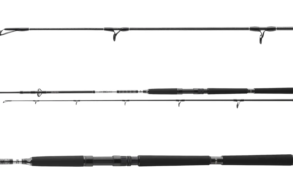 Online BG Offshore Pilk 2,40m 50-165g Spinn-Ruten