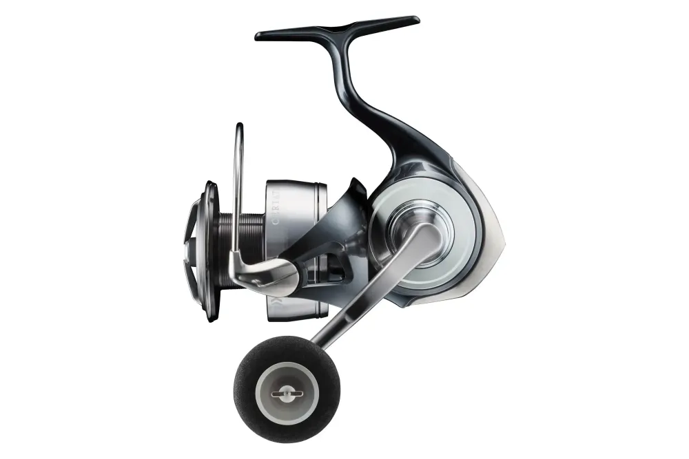 Clearance 24 Certate LT 2500D Rollen