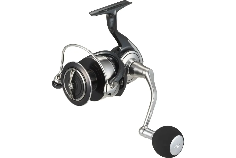 Outlet 24 Certate SW (G) 6000-H Rollen
