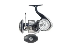 21 Certate SW (G) 10000-P Rollen