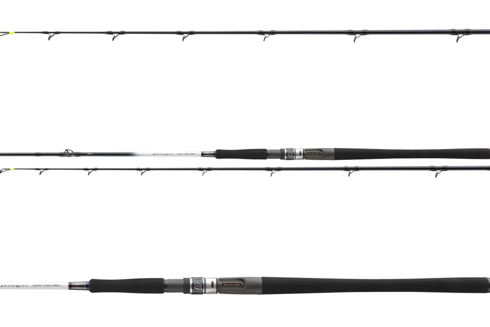 Online Grandwave Power Halibut 2,25m 30-40lb Baitcast-Ruten