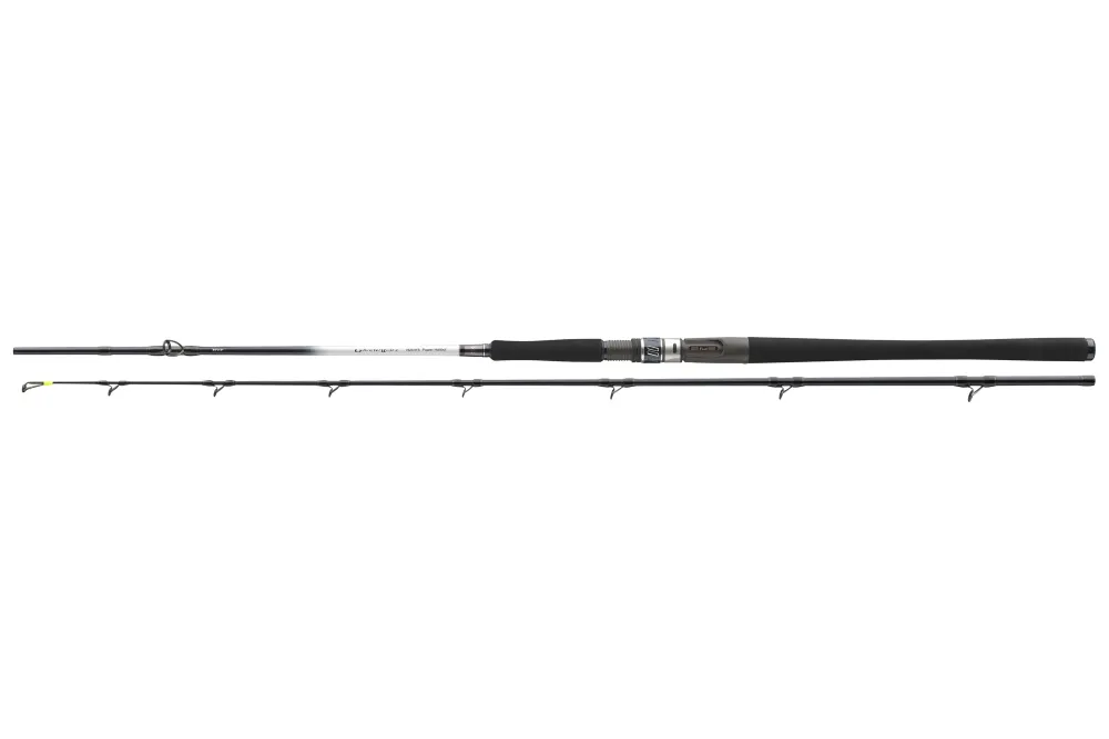 Online Grandwave Power Halibut 2,25m 30-40lb Baitcast-Ruten