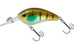 Hot Steez Crank 100F SR 5,4cm Monster Gill Hardbaits