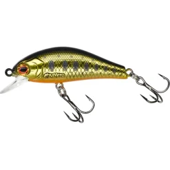 Clearance Rodan 40 SHW Acid Trout Gold Hardbaits