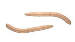 New Fatty D'Worm 65 Cheese 6,5cm 001 - white Futter & Lockstoffe|Gummiköder