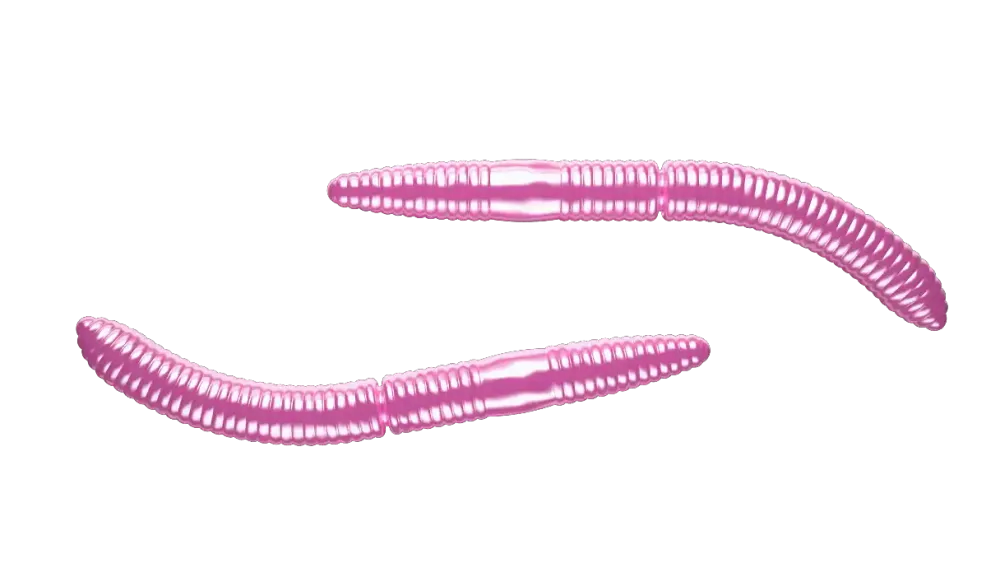 New Fatty D'Worm 65 Cheese 6,5cm 001 - white Futter & Lockstoffe|Gummiköder