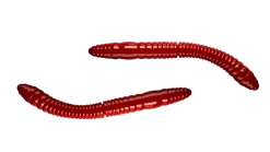 Outlet Fatty D'Worm Tournament 55 Cheese 5,5cm 000 - glow uv green Futter & Lockstoffe|Gummiköder
