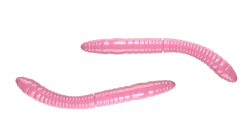 Outlet Fatty D'Worm Tournament 55 Cheese 5,5cm 000 - glow uv green Futter & Lockstoffe|Gummiköder