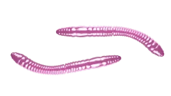 Outlet Fatty D'Worm Tournament 55 Cheese 5,5cm 000 - glow uv green Futter & Lockstoffe|Gummiköder