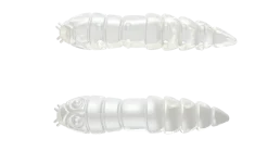 Outlet Kukolka 27 Cheese 2,7cm 001 - white Futter & Lockstoffe