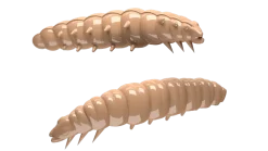 Best Larva 45 Cheese 4,5cm 001 - white Futter & Lockstoffe