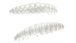 Sale Larva 30 Knoblauch 3cm 001 - white Gummiköder|Futter & Lockstoffe