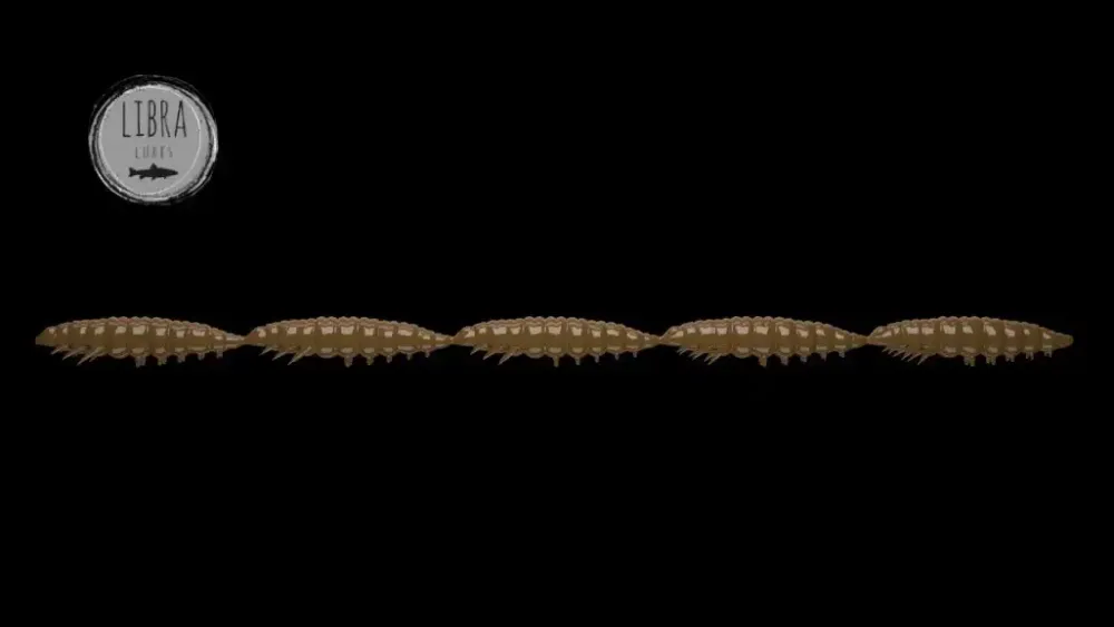 Hot Larva Multi 25 -5x5 Cheese 2,5cm 001 - white Stippen