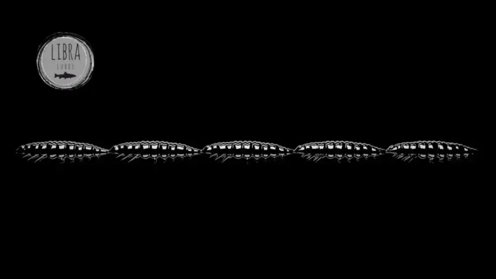 Hot Larva Multi 25 -5x5 Cheese 2,5cm 001 - white Stippen
