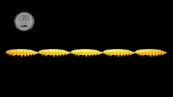 Hot Larva Multi 25 -5x5 Cheese 2,5cm 001 - white Stippen