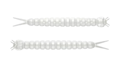 Discount Slight Worm 38 Cheese 3,8cm 001 - white Futter & Lockstoffe