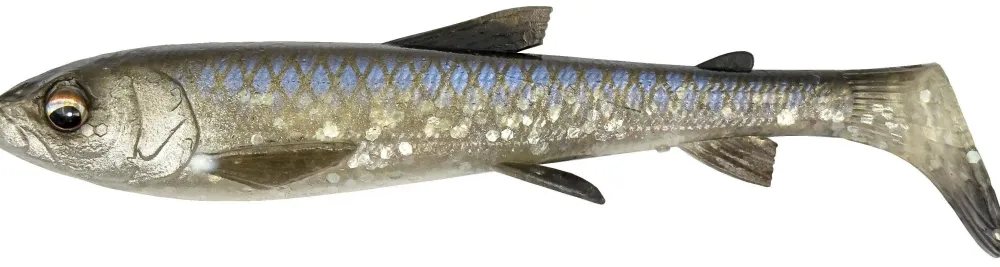 Sale 3D Whitefish Shad 12cm Dirty Roach Gummiköder