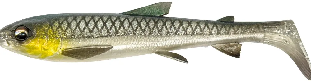 Sale 3D Whitefish Shad 12cm Dirty Roach Gummiköder
