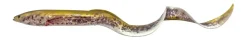 Hot Real Eel 40cm Chameleon Eel Gummiköder