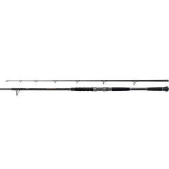 Online Beastmaster Catfish 220cm 120g 2pc Spinn-Ruten