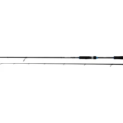 Online NEXAVE Spinning FAST 2,23m 7'4'' 7-21g 2pc Spinn-Ruten