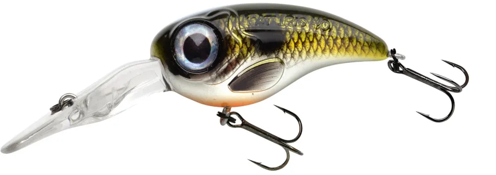 Best Fat Iris 40 DR Brown Trout Stippen