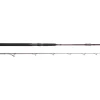 Outlet Salty Beast Solidz 1,9m 0-250g Spinn-Ruten