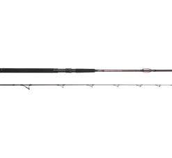 Outlet Salty Beast Solidz 1,9m 0-250g Spinn-Ruten