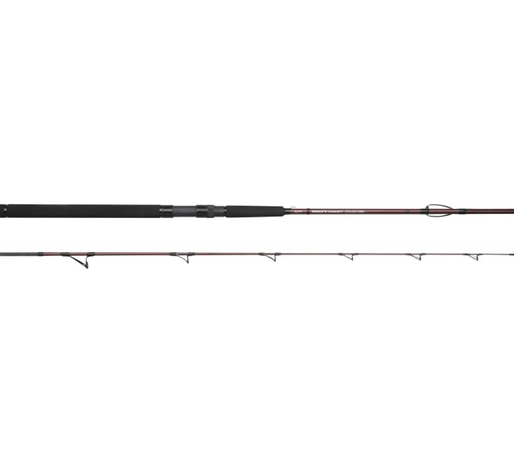 Outlet Salty Beast Solidz 1,9m 0-250g Spinn-Ruten