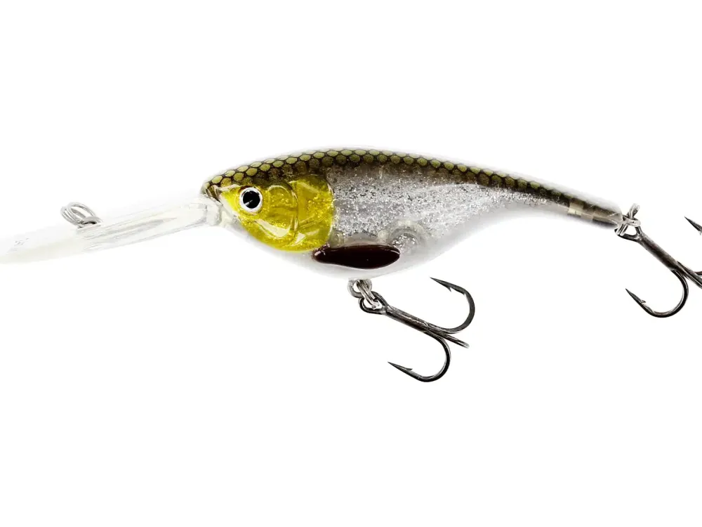 Clearance BabyBite DR 6,5cm Official Roach Hardbaits