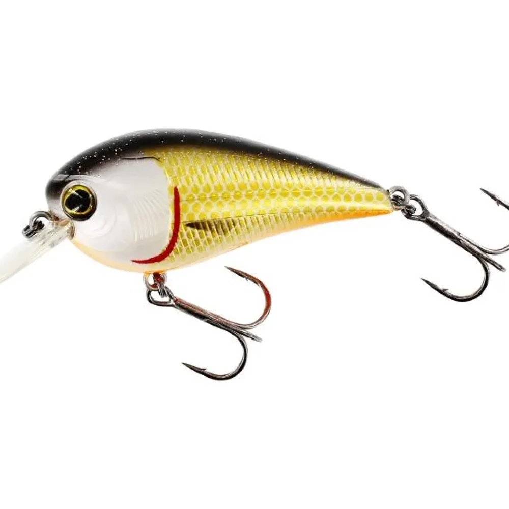 Best Bassbite Squarebill F 6cm Official Roach Ködertuning|Hardbaits