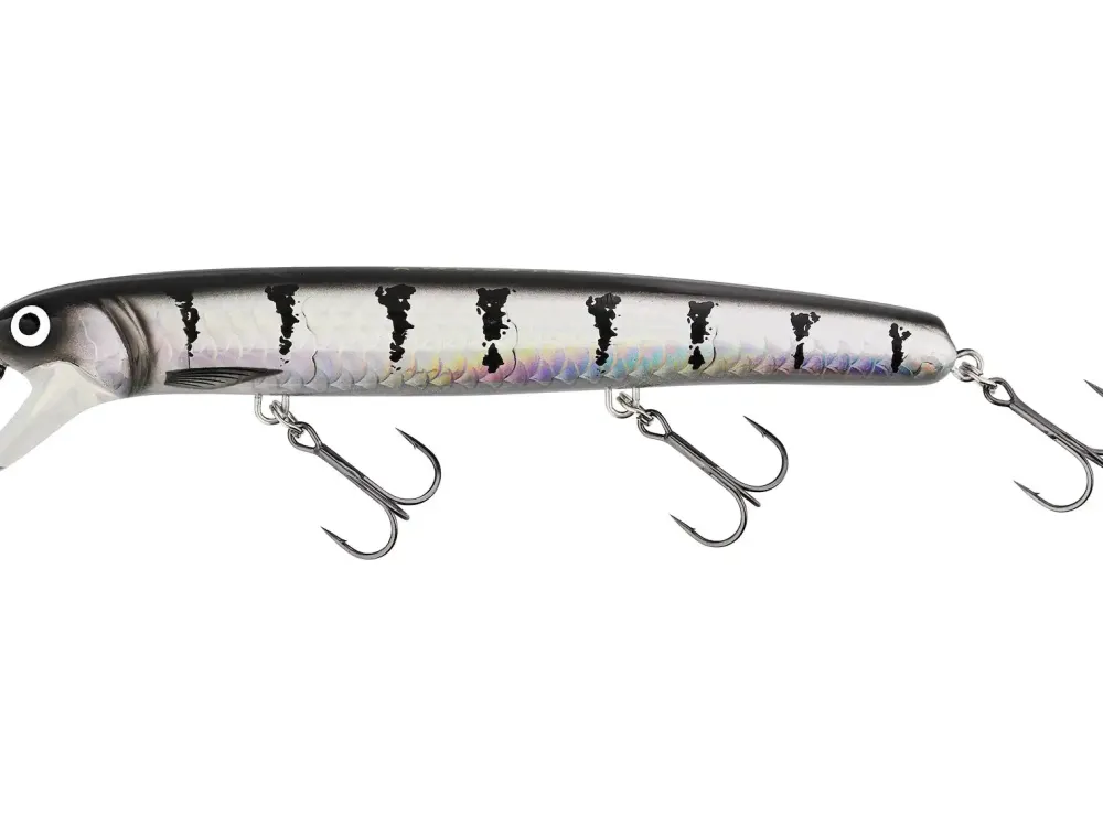 Clearance Jätte 17cm Alert Tiger Ködertuning