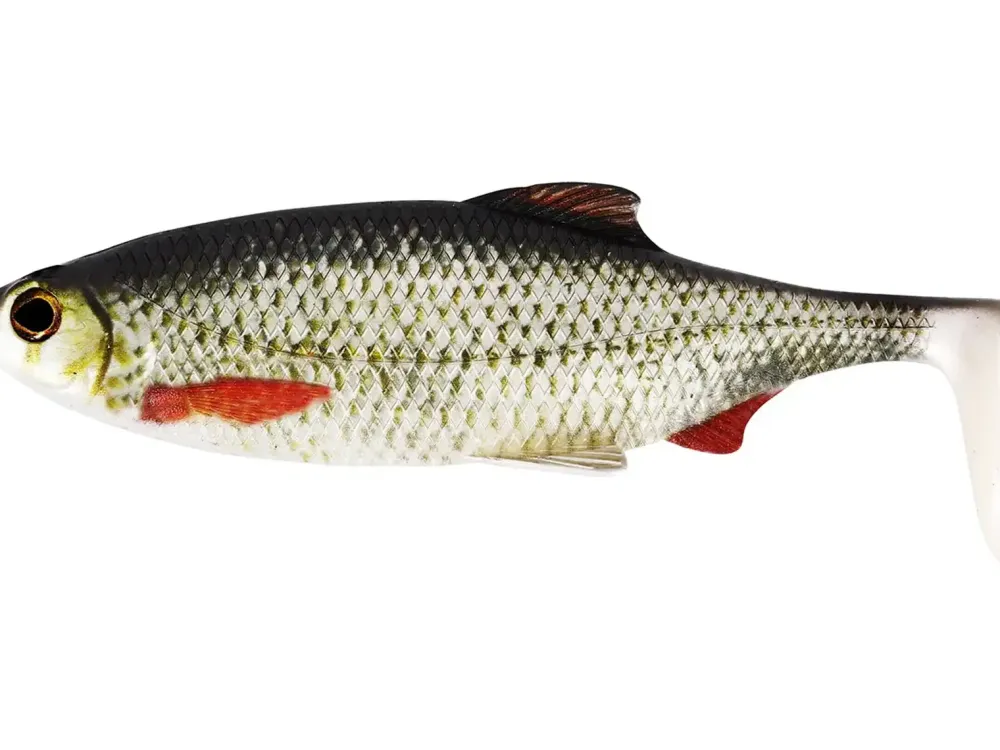 Discount Ricky the Roach Shadtail 10cm Headlight Gummiköder