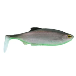 Best Ricky The Roach Shadtail AJ Sonderfarbe 18cm Bodden Belly Gummiköder