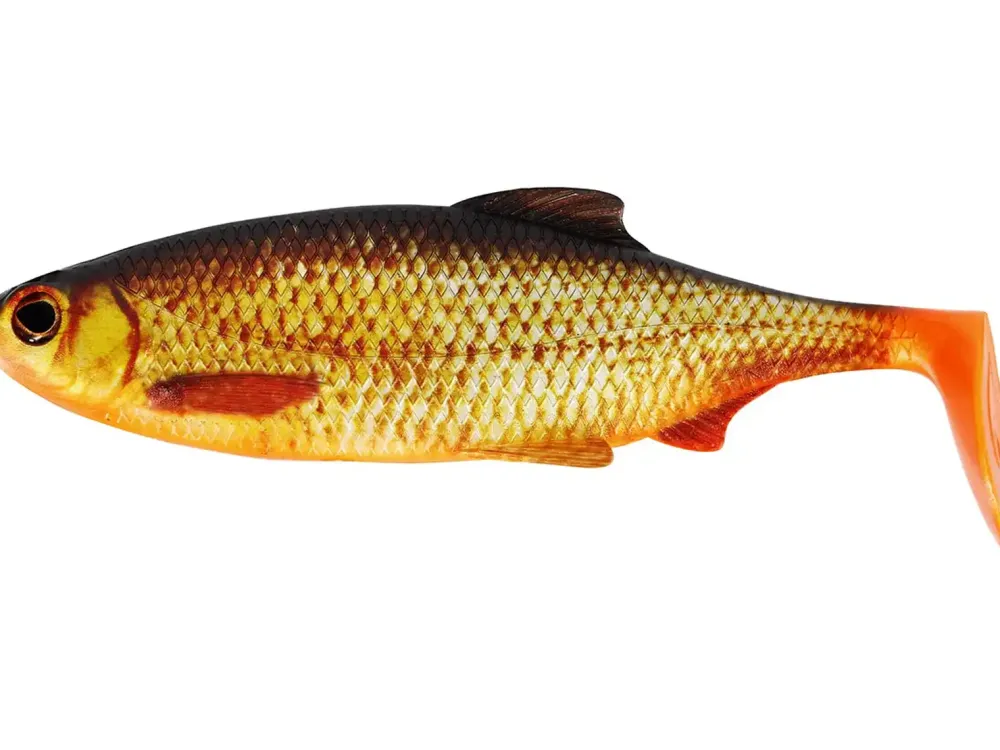 Sale Ricky the Roach Shadtail 14cm Real Roach Gummiköder