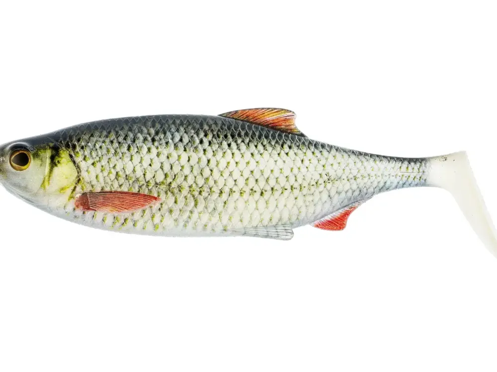 Sale Ricky the Roach Shadtail 14cm Real Roach Gummiköder