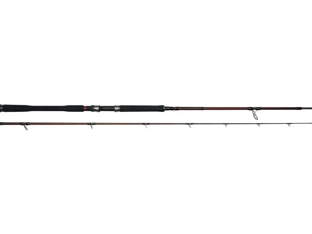 Best W4 Powercast 2nd XH 2,40m 60-180g Spinn-Ruten