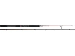 Discount W4 Powercast 2nd XXH 2,55m 40-130g Spinn-Ruten