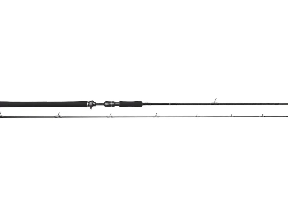 Outlet W3 Powercast-T 3RD XXH 2,51m 40-130g Baitcast-Ruten