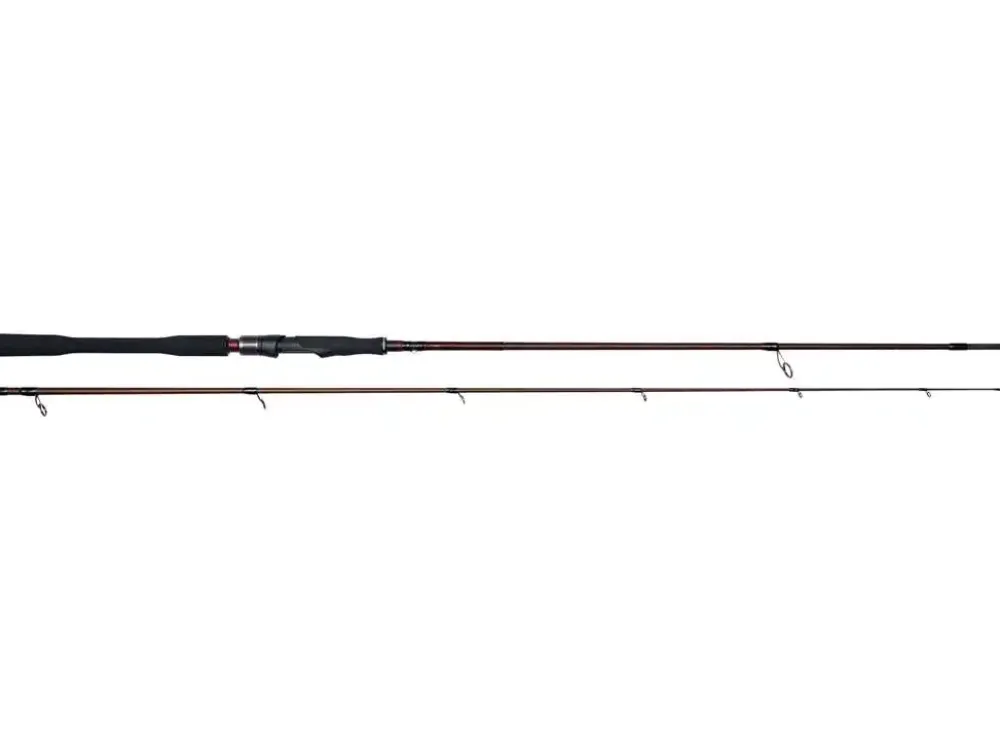 Online W4 Powerlure 2nd H 2,40m 20-60g Spinn-Ruten